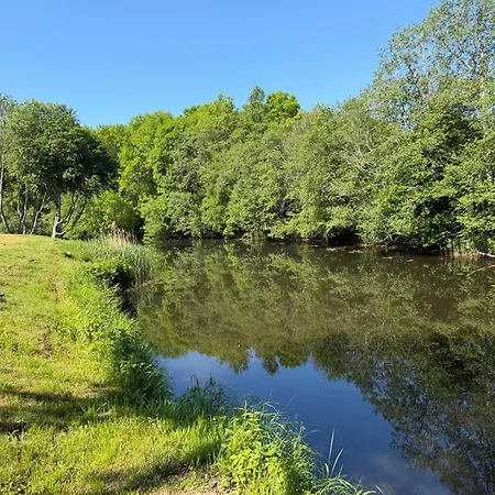 Recreation In The River Valley, In Sventoji, 300 M From The Center