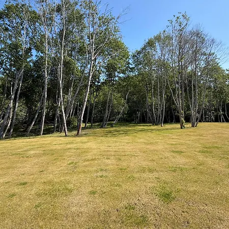 Recreation In The River Valley, In Sventoji, 300 M From The Center Apartament *